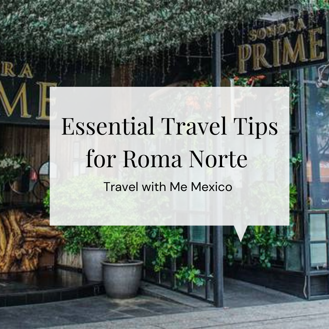 Essential Travel Tips for Mexico City
